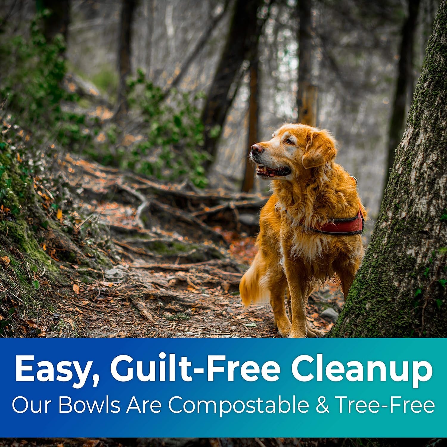 Vet-Grade Biodegradable Disposable Pet Bowls Bulk 50Pk 8Oz/1 Cup. Recycled Wheatstalk Material, Non-Toxic Food and Water Dishes for Puppies, Small Dogs or Cats. Sturdy and Leakproof for Healthy Pets!