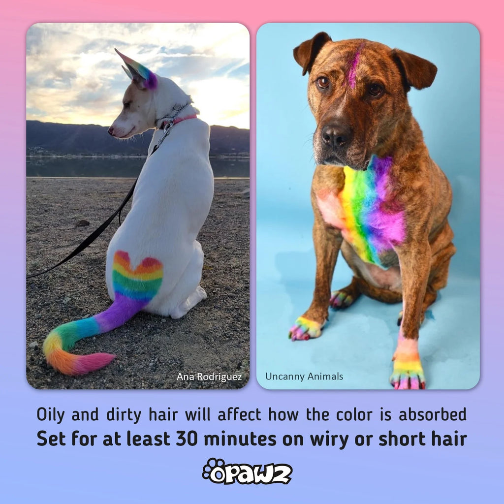 Semi-Permanent Dog Hair Dye, Non-Toxic Pet Hair Dye for Dogs, Cats and All Pets Can Be Bathed (Flash Yellow)