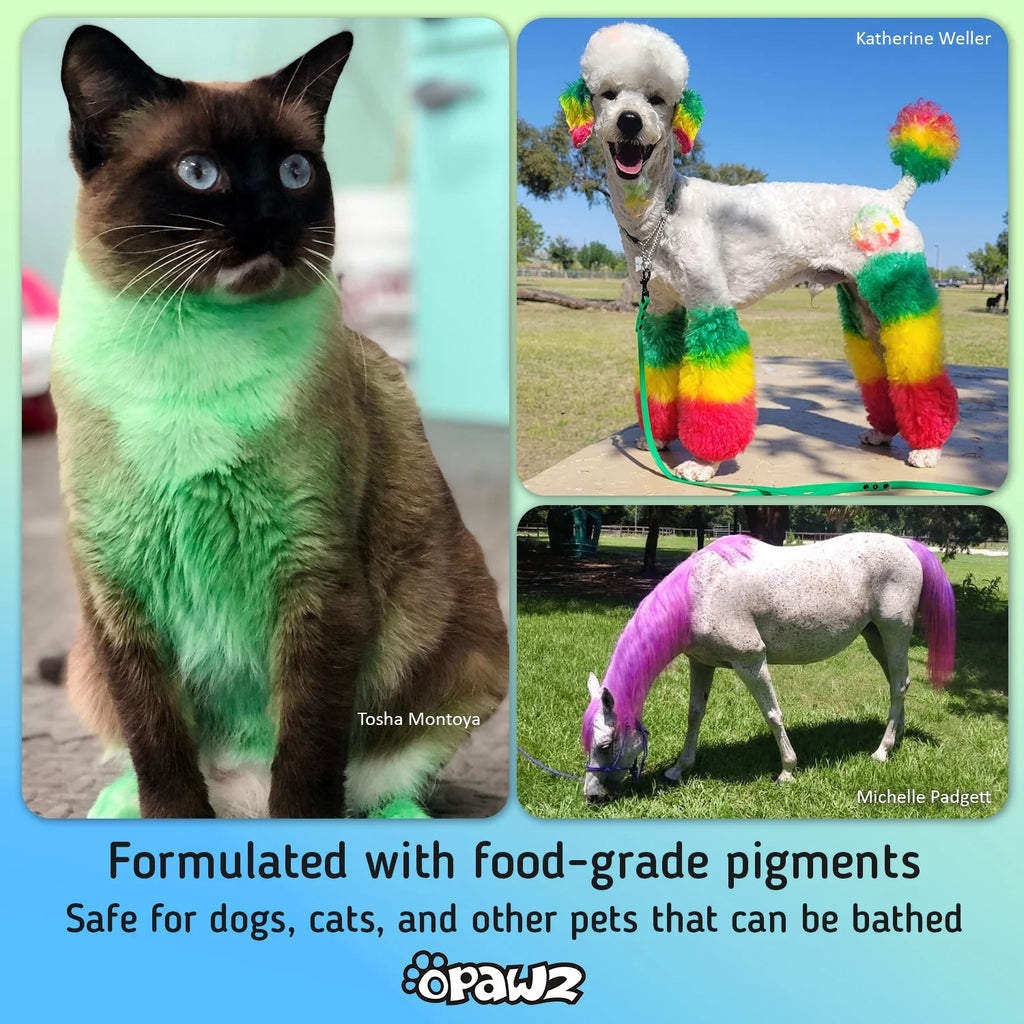 Semi-Permanent Dog Hair Dye, Non-Toxic Pet Hair Dye for Dogs, Cats and All Pets Can Be Bathed (Pumpkin Orange)