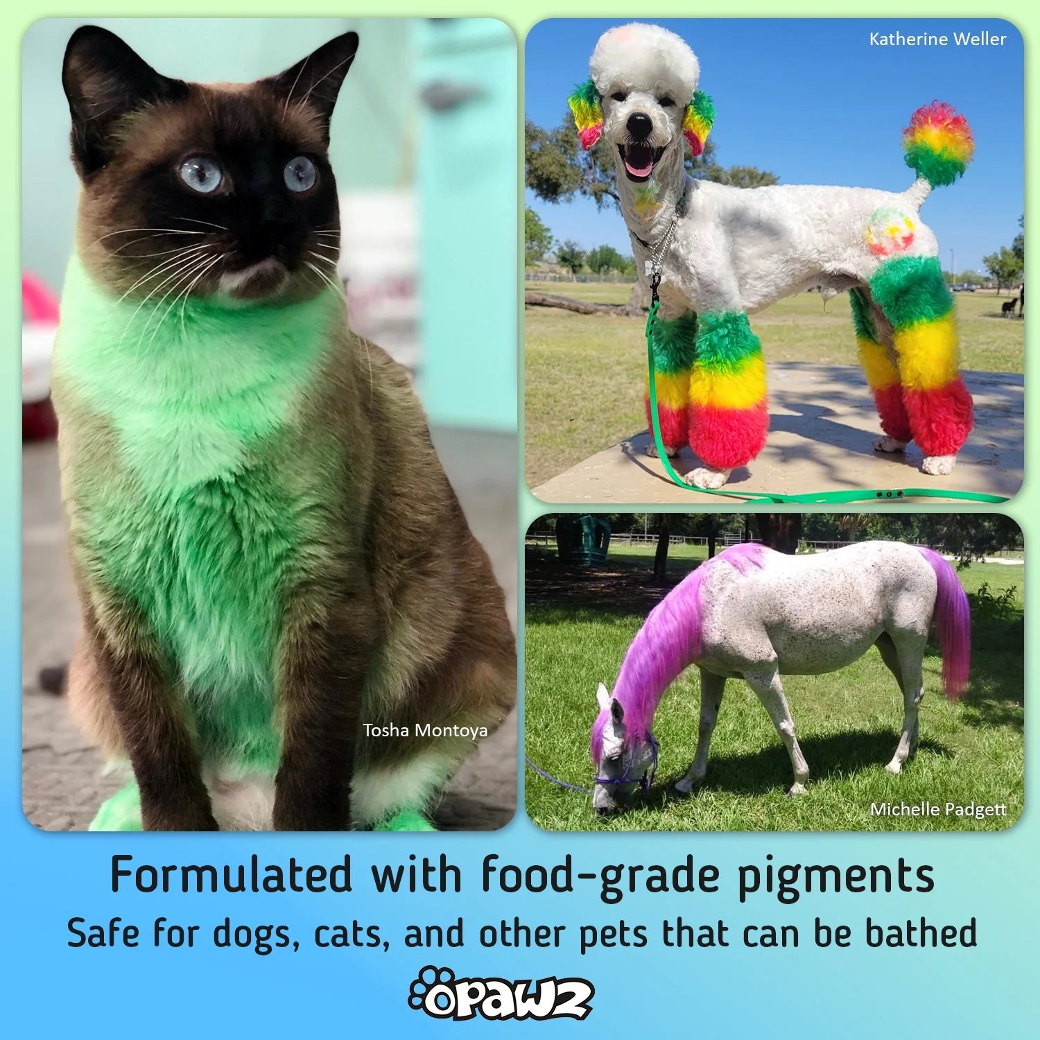 Semi-Permanent Dog Hair Dye, Non-Toxic Pet Hair Dye for Dogs, Cats and All Pets Can Be Bathed (Pumpkin Orange)