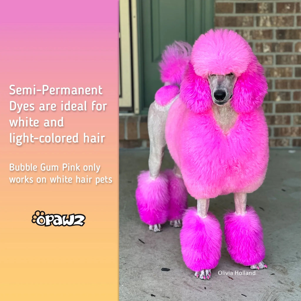Semi-Permanent Dog Hair Dye, Non-Toxic Pet Hair Dye for Dogs, Cats and All Pets Can Be Bathed (Pumpkin Orange)