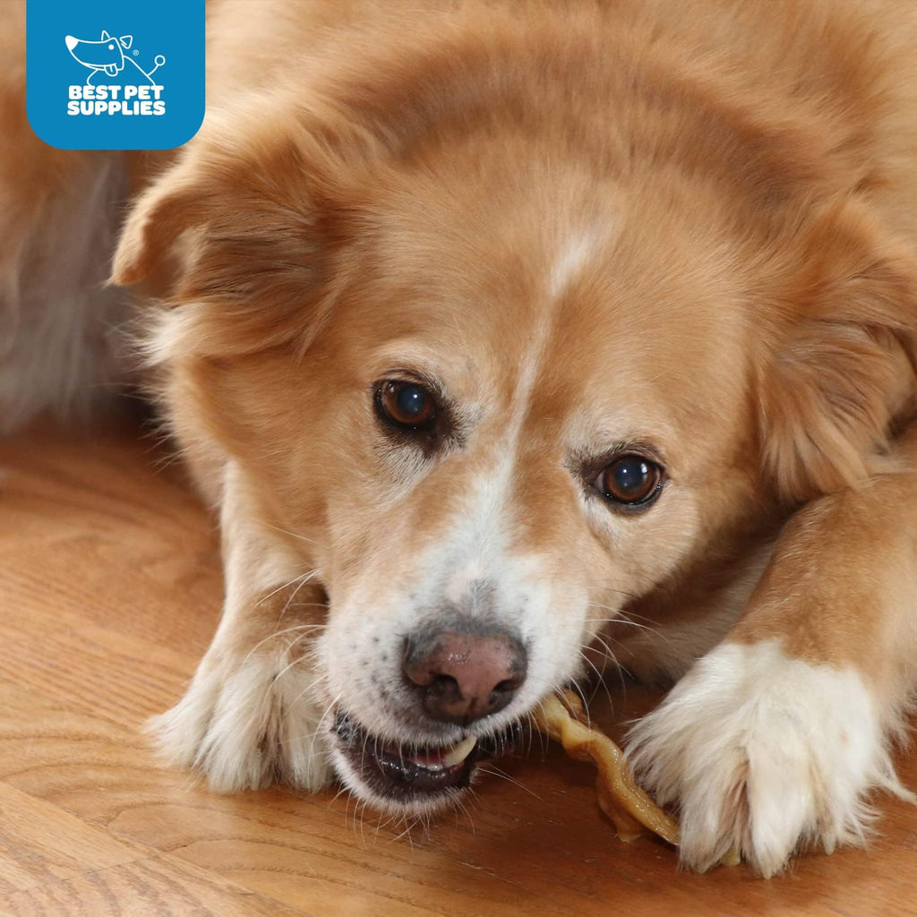 Gigabite Roasted Pig Ears for Dogs - Natural Dog Chews, Roasted Pigs Ears, Safe for Puppies and Aggressive Chewers, Cleans Teeth and Gums - Slivers, 2.2 Pounds