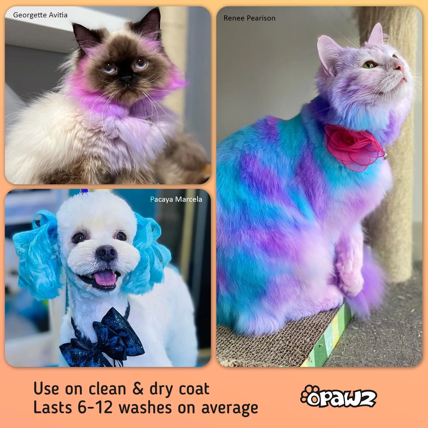 Semi-Permanent Dog Hair Dye, Non-Toxic Pet Hair Dye for Dogs, Cats and All Pets Can Be Bathed (Pumpkin Orange)